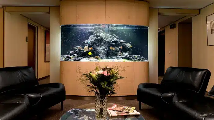 Come installare un acquario migliori l’esperienza dei clienti